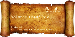 Valasek Antónia névjegykártya